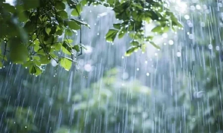 বৃষ্টির সম্ভাবনা