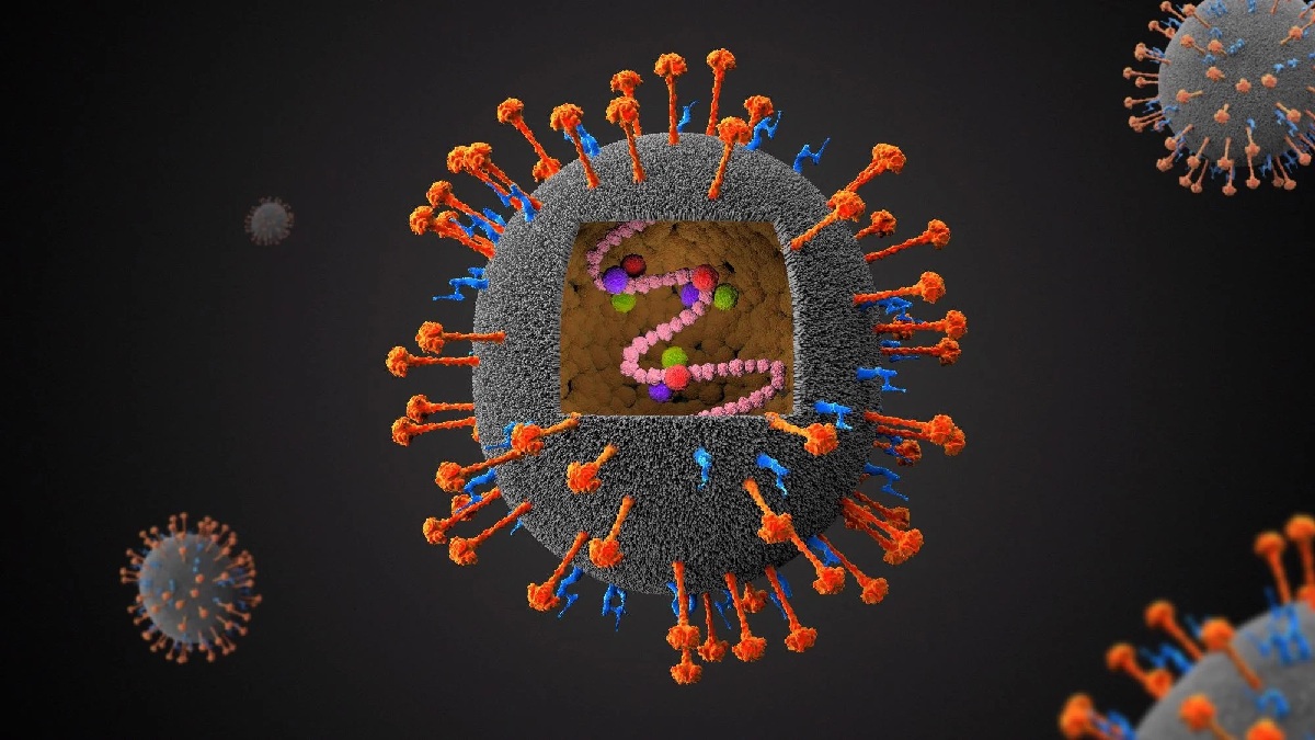 ভারতে আরেক প্রাণঘাতী ভাইরাস