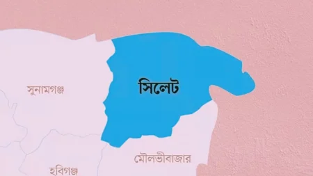 সিলেটে প্রিসাইডিং কর্মকর্তাকে মারধর মারধরের শিকার