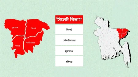 সিলেট বিভাগে ১৯ আসনের ১৮টিতেই বিএনপির জয় সিলেটে বিএনপির জয়