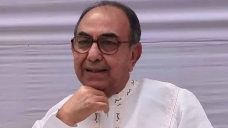 সেল গঠন