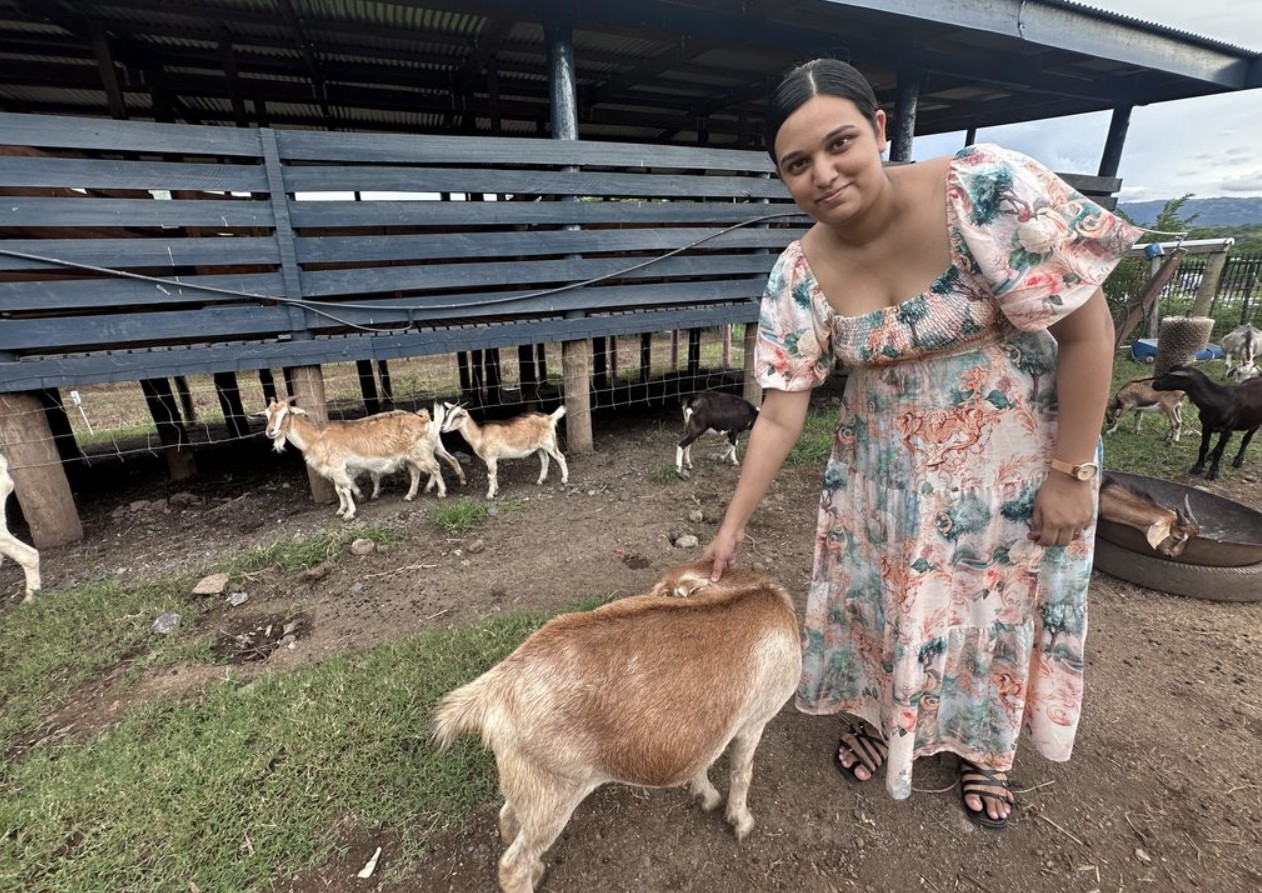 Goat Farming Finds New Direction As Young Entrepreneur Builds Sustainable Livelihood