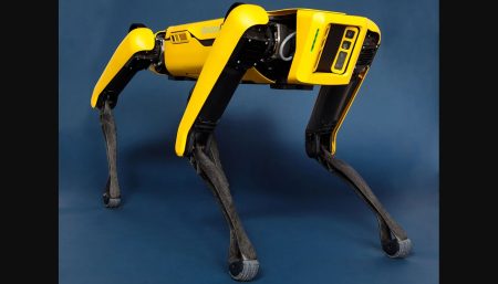Robot dogs