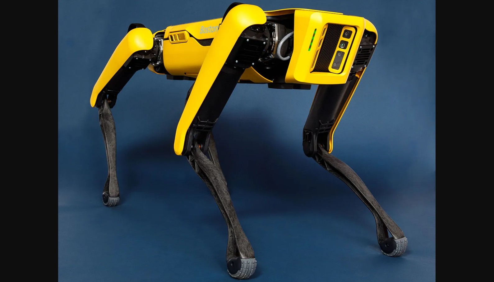 Robot dogs