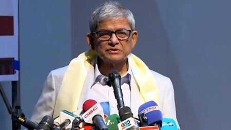 বিদেশে বসে হাসিনা দেশকে অস্থিতিশীল করার চেষ্টা চালিয়ে যাচ্ছে: মির্জা ফখরুল মির্জা ফখরুল