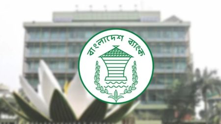 এক বছরে দেশে কোটিপতি বেড়েছে ১২ হাজার BD-Bank