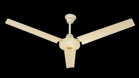 FAN