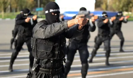 Iranian-Forces