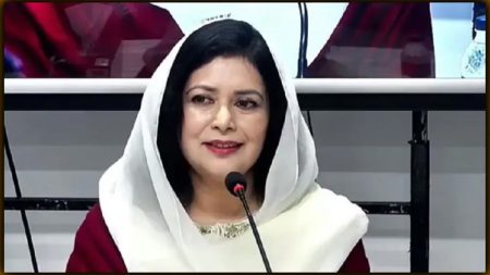 নারীদের শিক্ষা অবৈতনিক করার পদক্ষেপ নেবে সরকার : জুবাইদা রহমান Jubaida