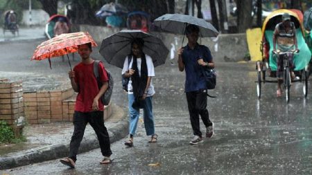 Rain