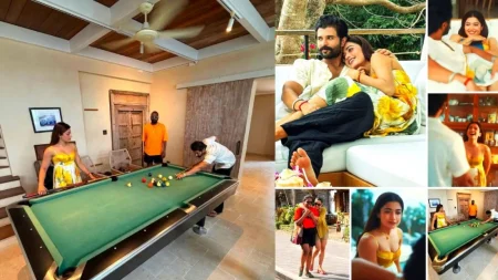 হানিমুনের বদলে ‘বাডিমুন’ করছেন বিজয়-রাশমিকা বিজয়-রাশমিকা