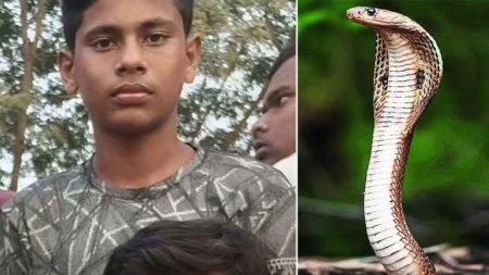 গরুর জন্য মশারি টানাতে গিয়ে সাপের কামড়ে প্রাণ গেল হেফজ বিভাগের ছাত্র মেহেদির Student