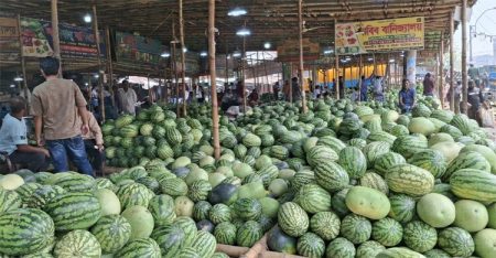 ৫০ টাকায়ও মিলছে আস্ত তরমুজ তরমুজ