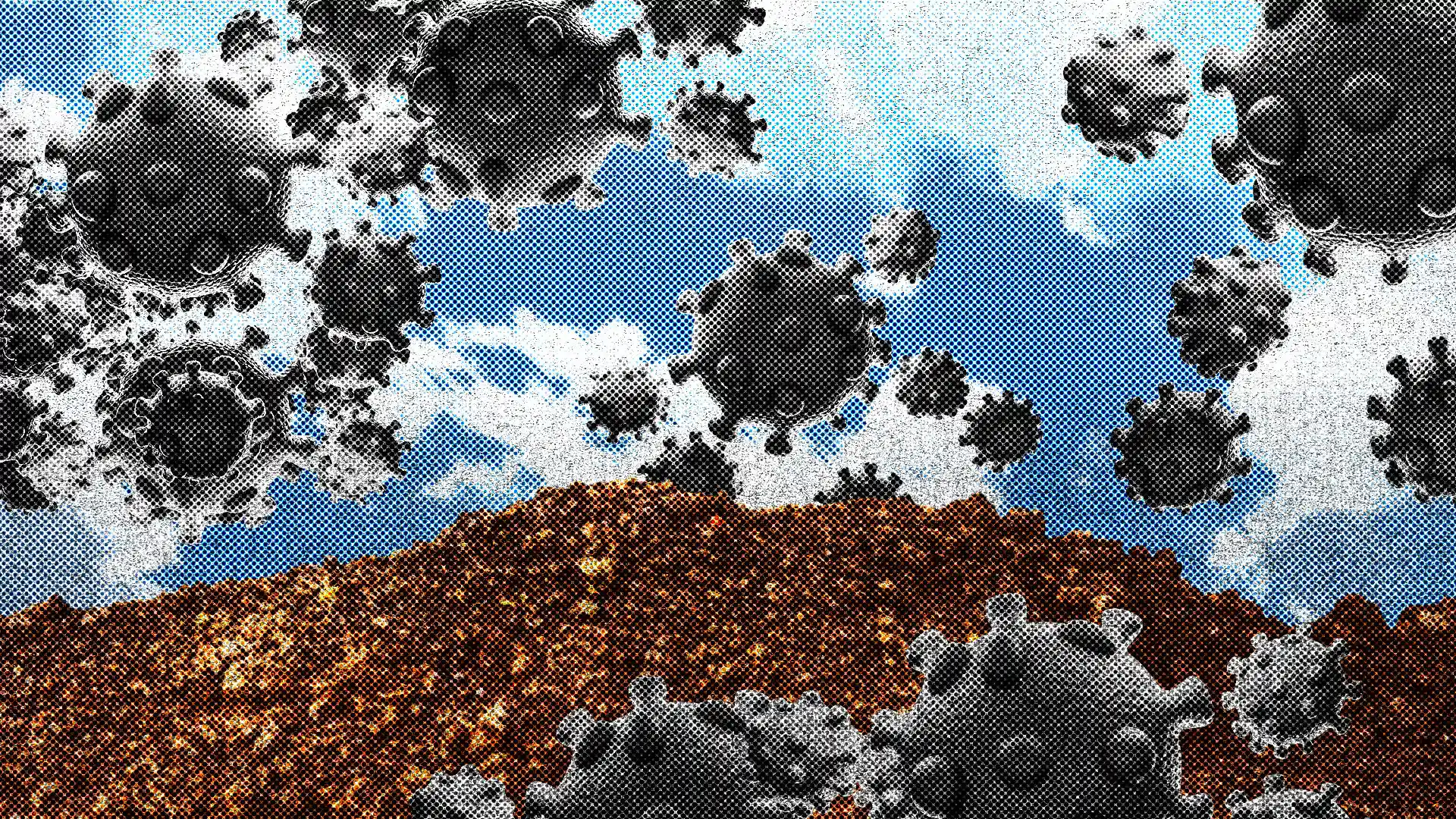 Covid 19 Cicada Variant Draws Attention as Health Officials Track Emerging Strain