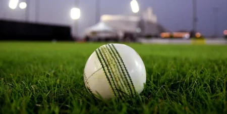 আইপিএলে বল