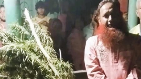 গাঁজা