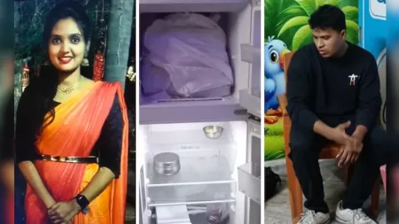 ফ্রিজে রাখলেন