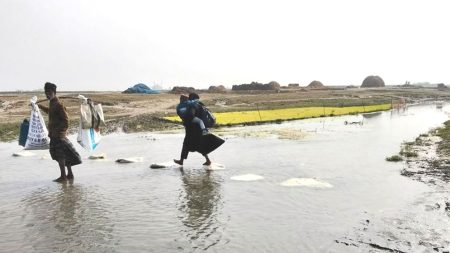 যমুনা নদী