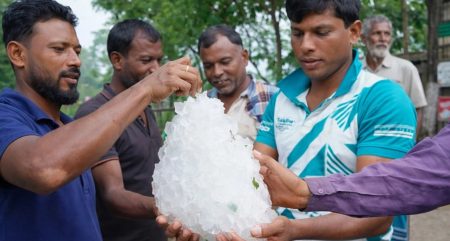 ঝিনাইদহে বেগুন ক্ষেতে মিলল এক মণ ওজনের বিশাল শিলাখণ্ড শিলা