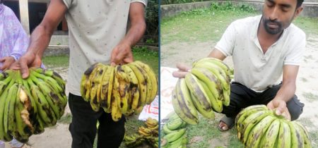 স্কুল ফিডিং