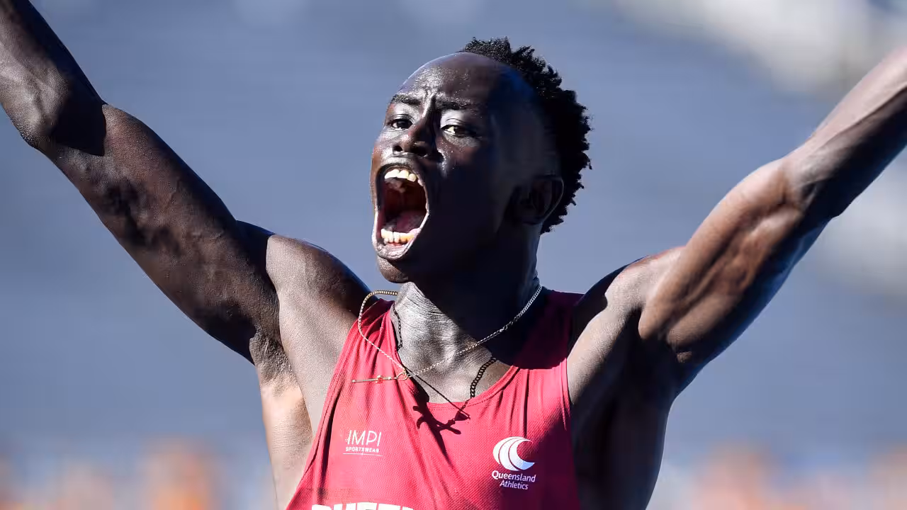 গাউট গাউট