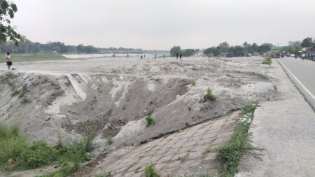 Manikganj