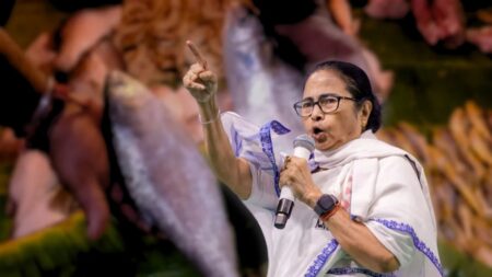 মাছ খেলে আপনাদের বাংলাদেশি বলা হবে; হুঁশিয়ারি মমতার মমতা