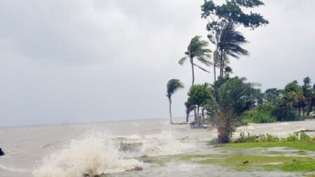 বৃষ্টি