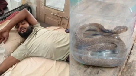 হাসপাতালে রিপন