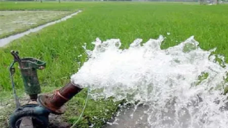 সেচ ব্যবস্থা