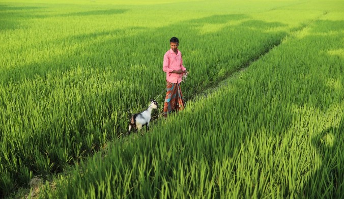 কৃষি ও সামাজিক কার্যক্রমে ৫৩ কোটি টাকার বিশেষ কর্মসূচি ঘোষণা ব্র্যাকের