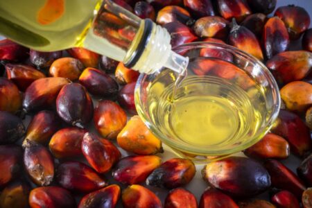 palm oil news