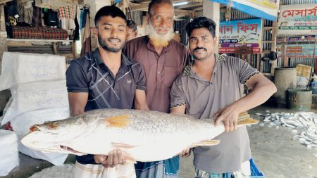 কোরাল মাছ