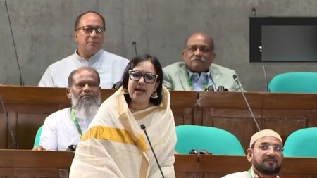 রুমিন ফারহানা