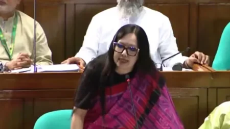বাংলাদেশ ব্যাংক-বিশ্ববিদ্যালয়ে দলীয় নিয়োগের সমালোচনায় রুমিন ফারহানা rumin farhana