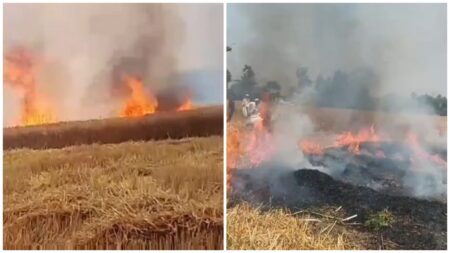 খড়ের আগুনে পুড়ল ১৫ বিঘা জমির গম গম পুড়ে গেছে