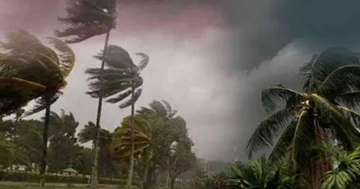 ঝড়ের আভাস