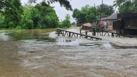 বন্যার সতর্কতা