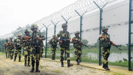 নদীপথ সীমান্তে ‘সাপ-কুমির’ ব্যবহার চায় বিএসএফ সাপ-কুমির