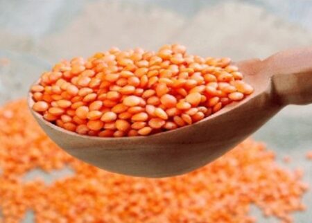 মসুর ডাল কিনবে সরকার