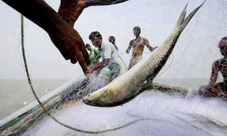 সমুদ্রে মাছ ধরায় নিষেধাজ্ঞা