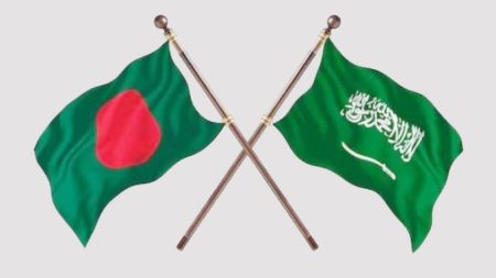 সৌদি প্রবাসীদের