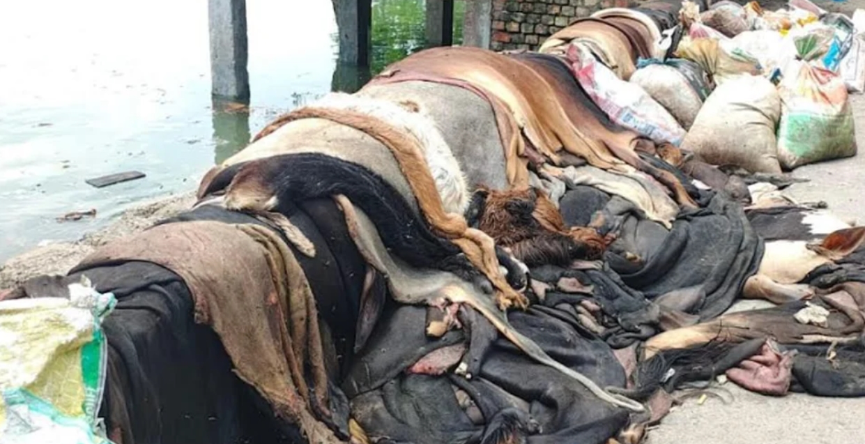 কোরবানি