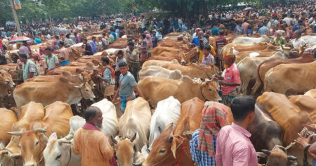 কোরবানিতে দেশব্যাপী পশুর হাট বসছে ৩ হাজার ৬০০টি, রাজধানীতে ২৭ পশুর হাট
