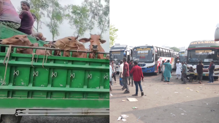 ঈদুল আজহায় ঢাকামুখী ও ঘরমুখো যাত্রায় তৈরি হচ্ছে দ্বিমুখী চাপ Cow