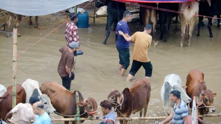 ক্রেতা-বিক্রেতারা