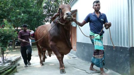 সুপারস্টার