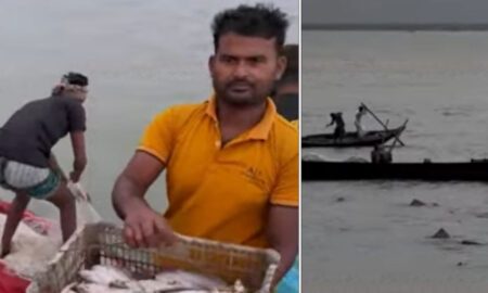Fish
