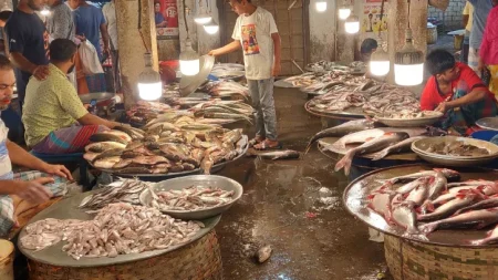 Fish-Market