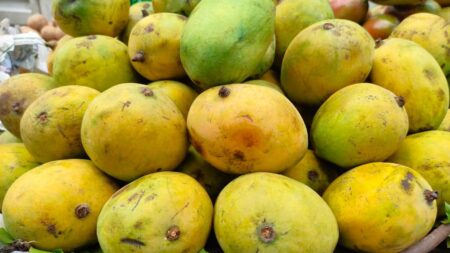 Mango
